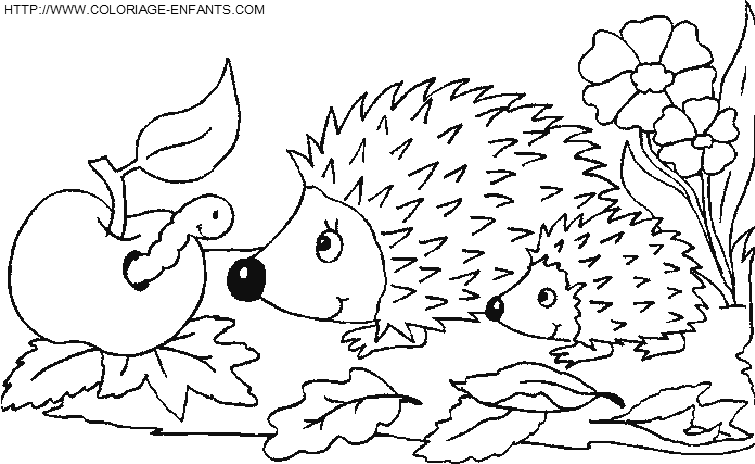 Porcupines coloring