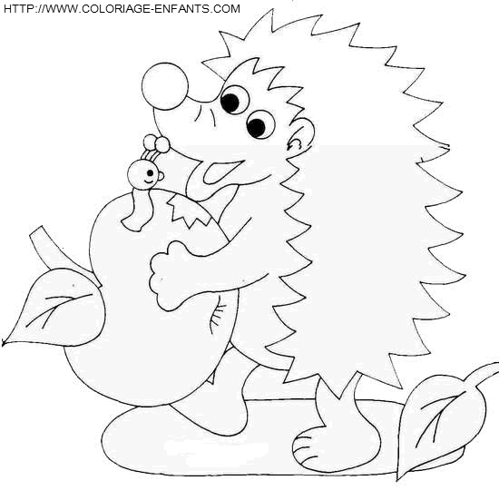 Porcupines coloring