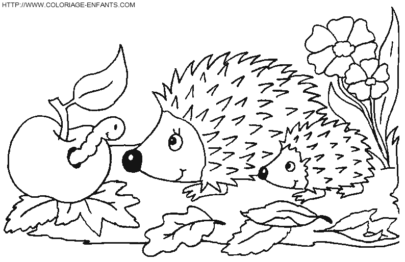 Porcupines coloring