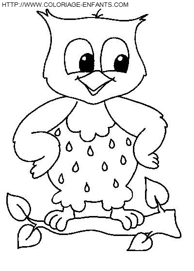 Owls coloring