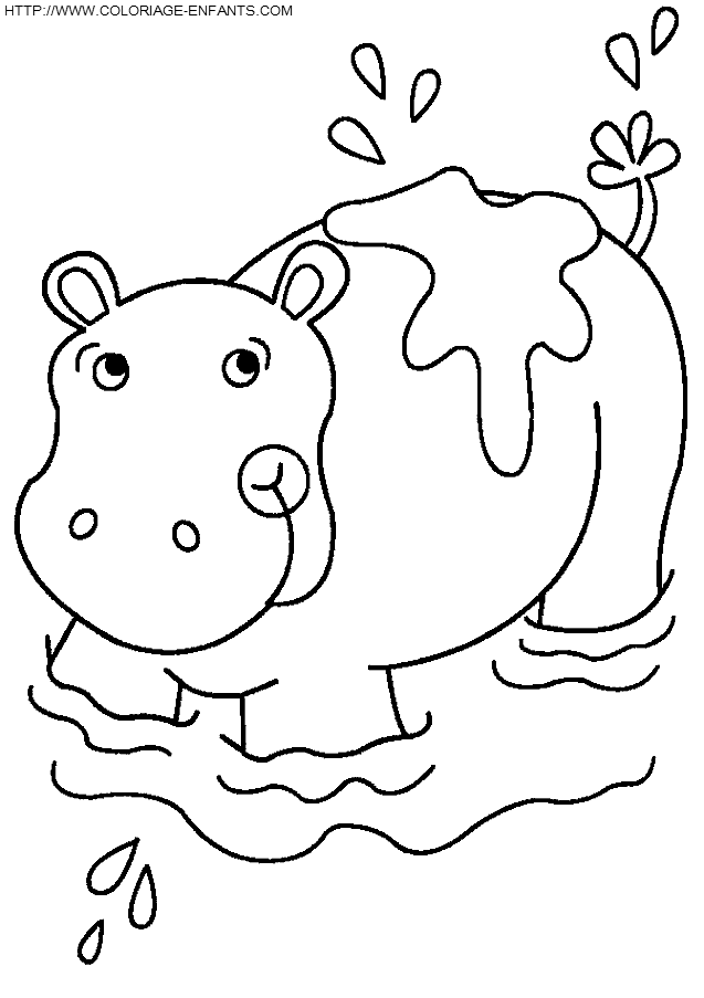 Hippopotamus coloring