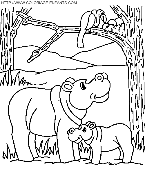 Hippopotamus coloring