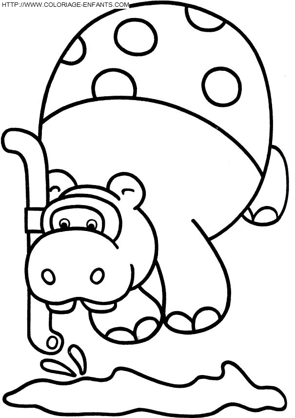 Hippopotamus coloring