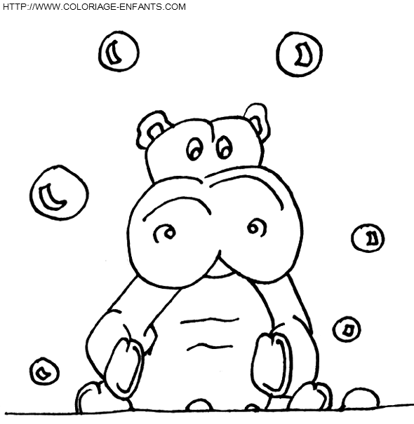 Hippopotamus coloring