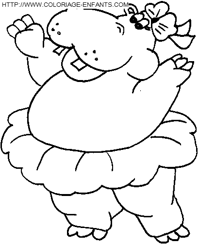 Hippopotamus coloring