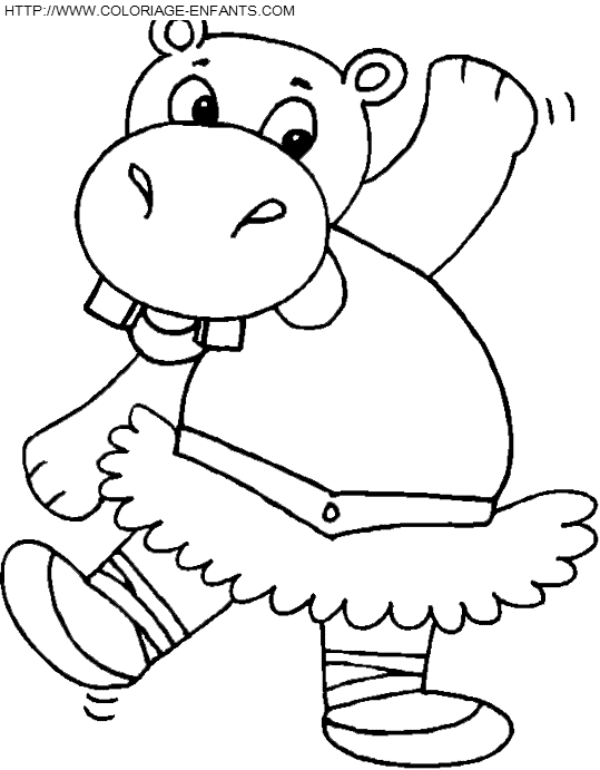 Hippopotamus coloring