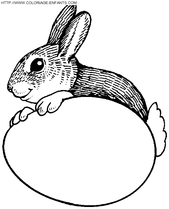 Rabbits coloring