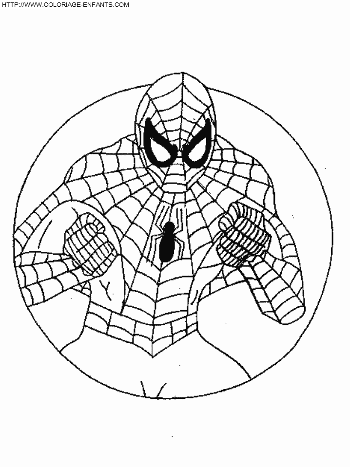 Spiderman coloring