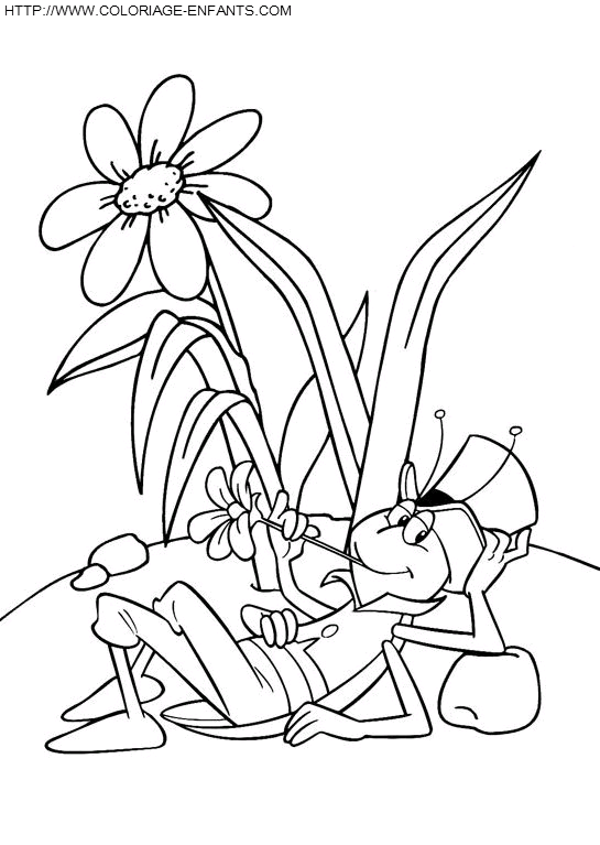 Maya The Bee coloring