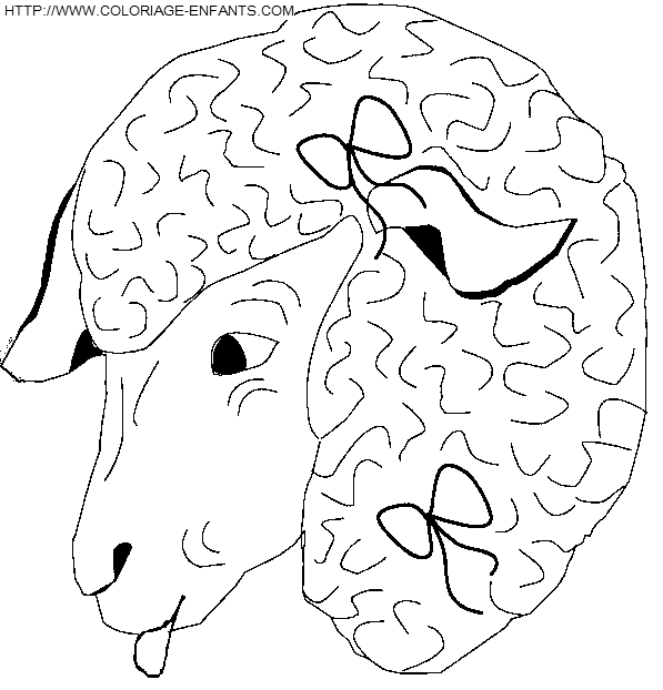 Sheep coloring