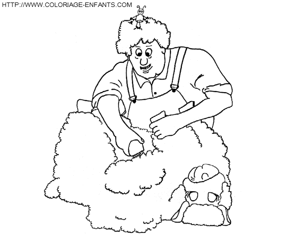 Sheep coloring