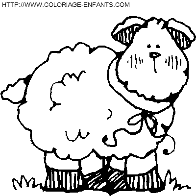 Sheep coloring