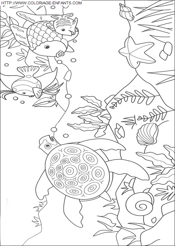Rainbow coloring