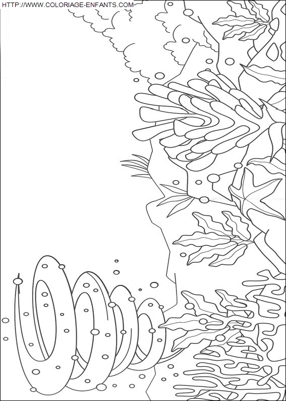 Rainbow coloring