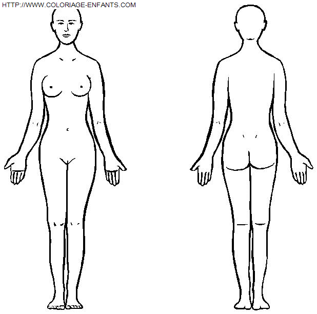 Human Body coloring