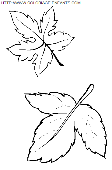 Leaves coloring