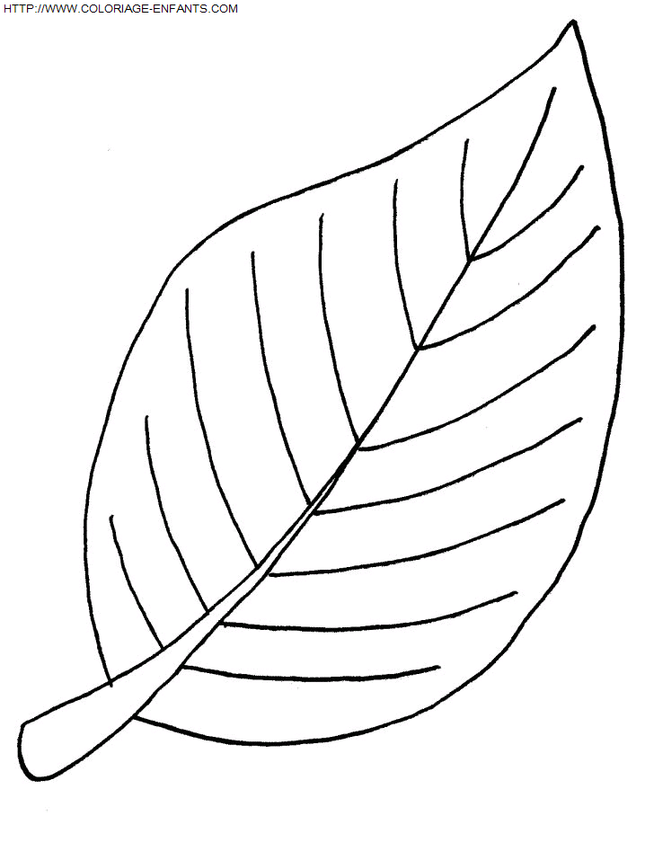 Leaves coloring