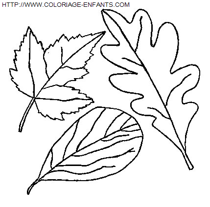 Leaves coloring