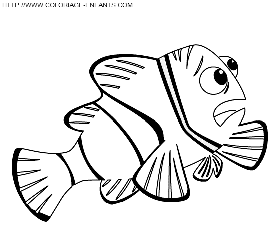 Nemo coloring