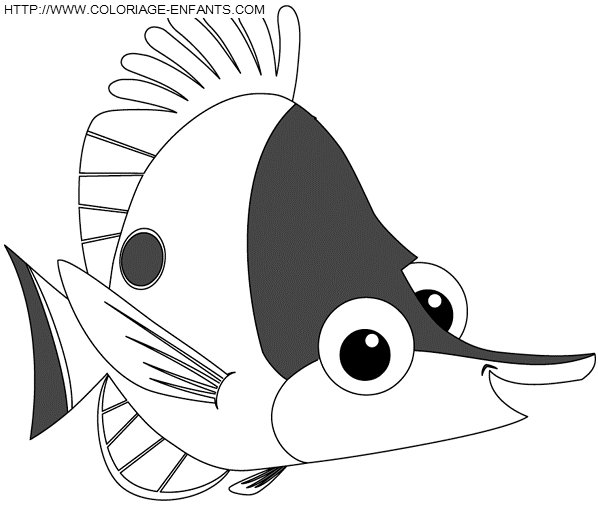 Nemo coloring