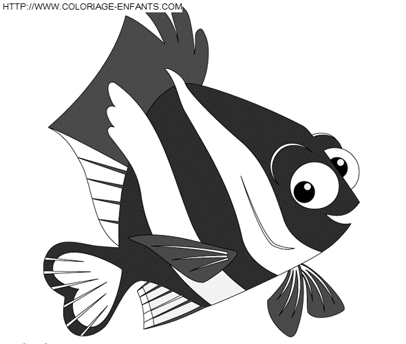 Nemo coloring