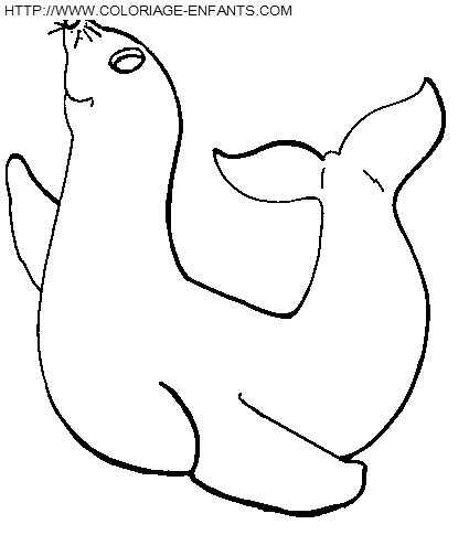 Otters coloring
