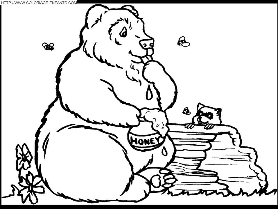 Bear coloring