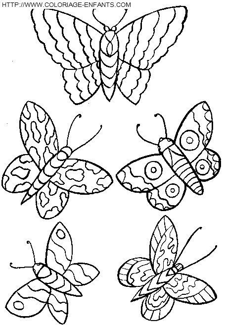 Butterflies coloring