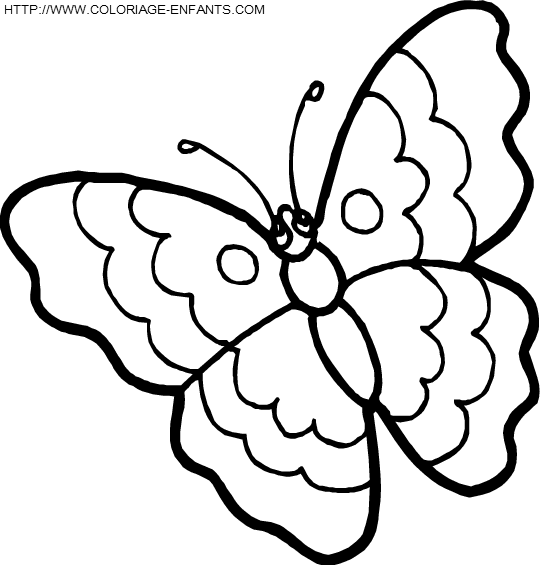 Butterflies coloring