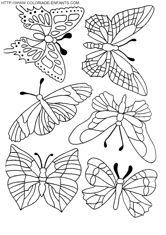 Butterflies coloring