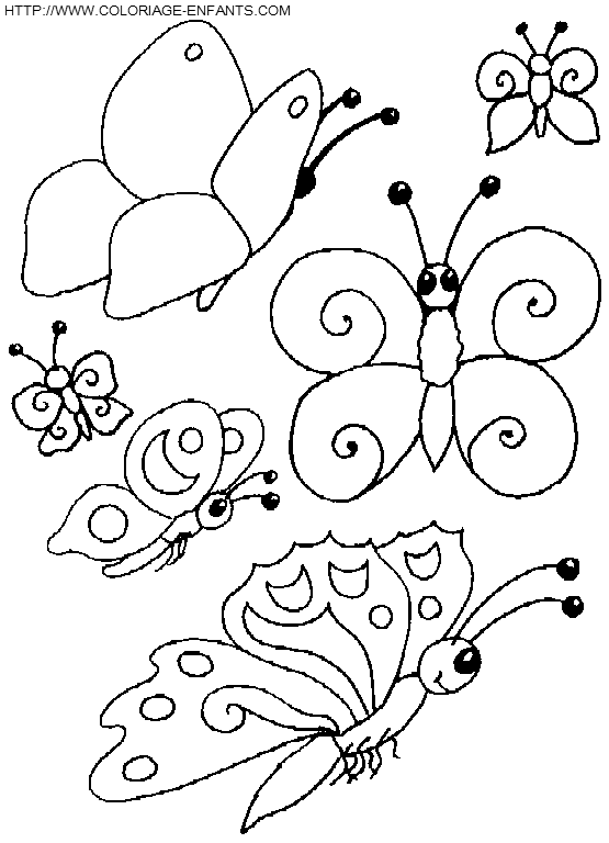 Butterflies coloring