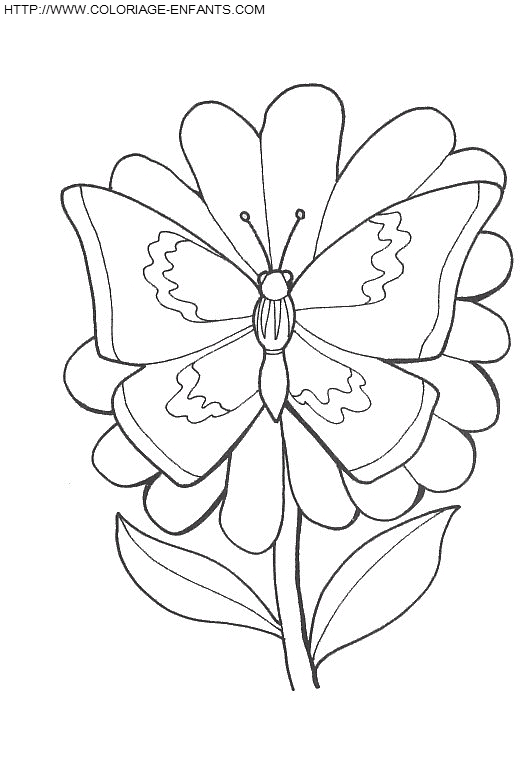 Butterflies coloring