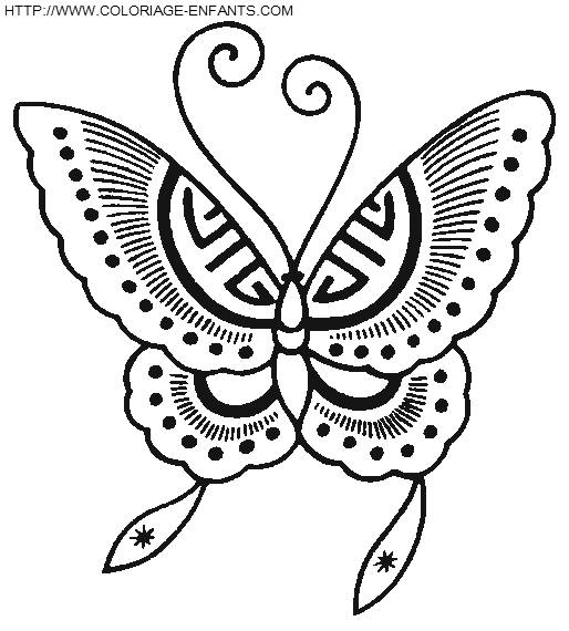 Butterflies coloring