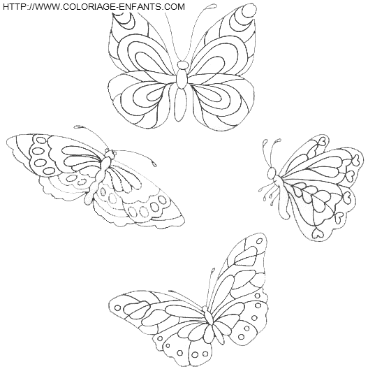 Butterflies coloring