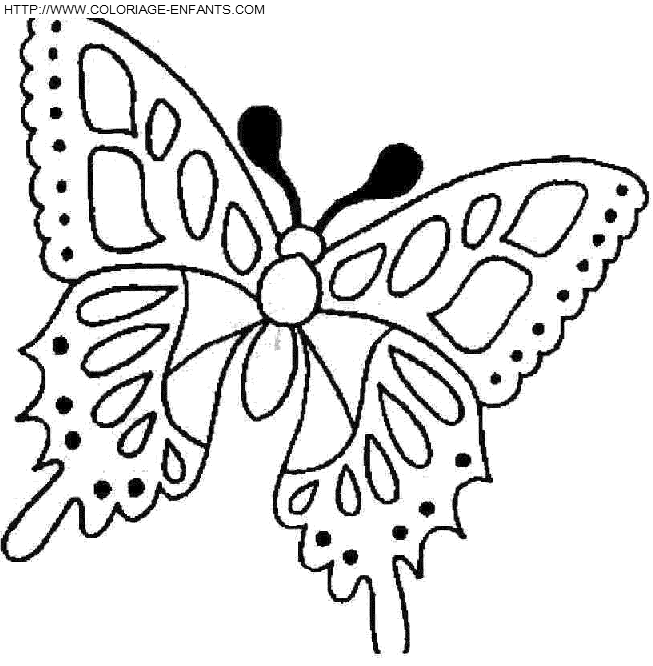 Butterflies coloring