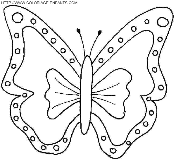 Butterflies coloring