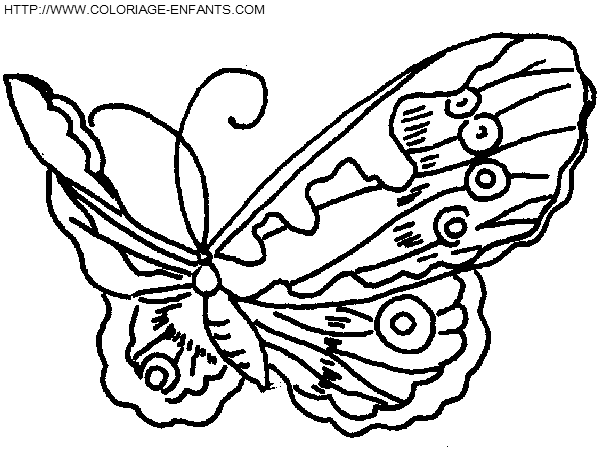 Butterflies coloring