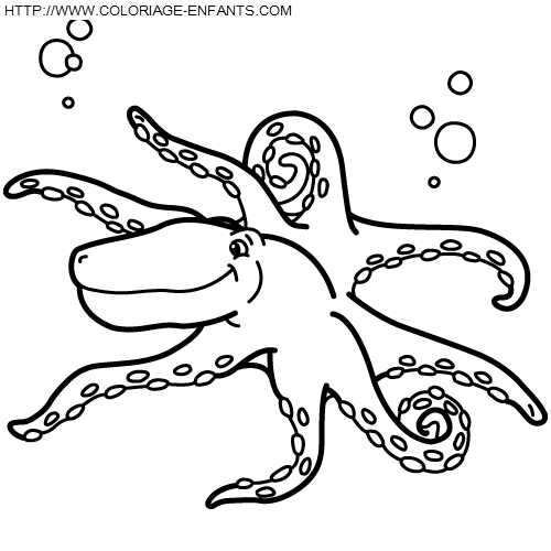 Octopus coloring