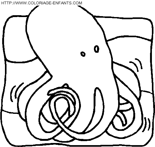 Octopus coloring