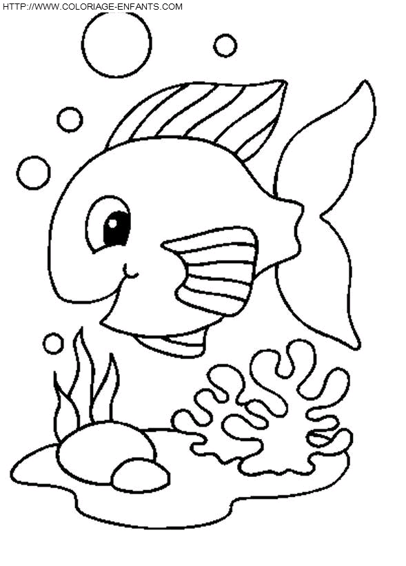 Fish coloring