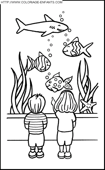 Fish coloring