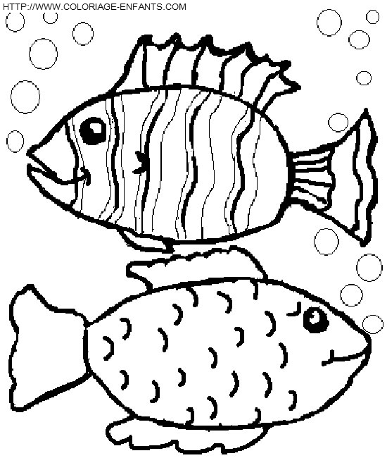 Fish coloring