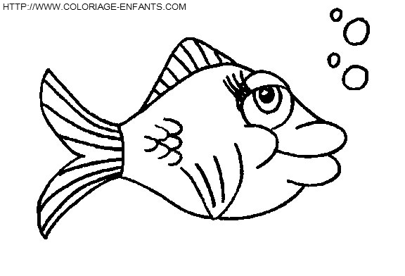 Fish coloring