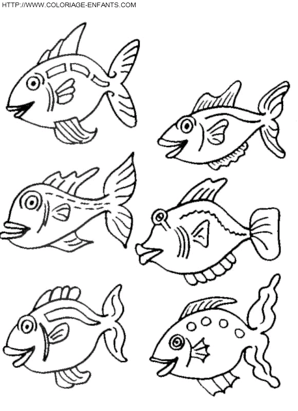 Fish coloring