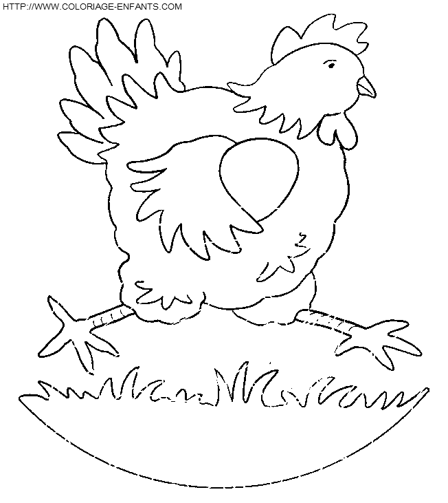 Hens coloring