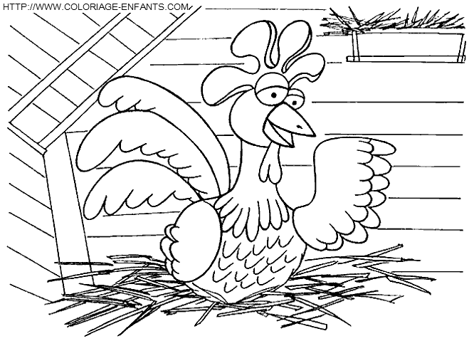 Hens coloring