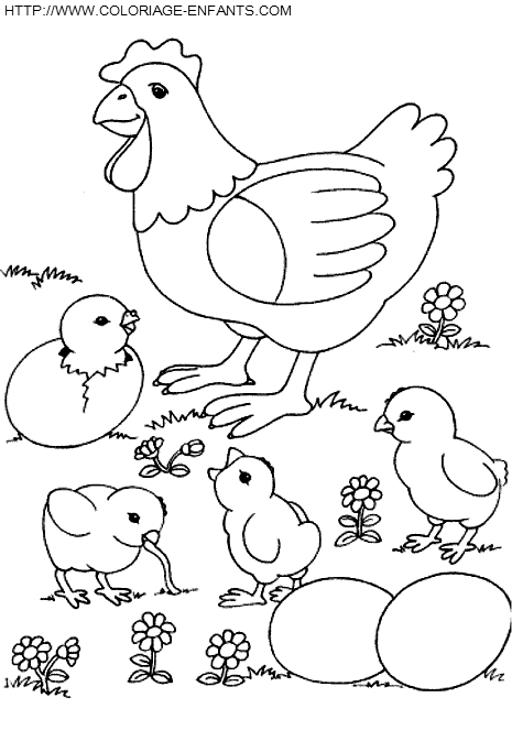 Hens coloring