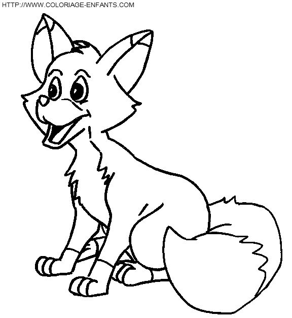 Foxes coloring