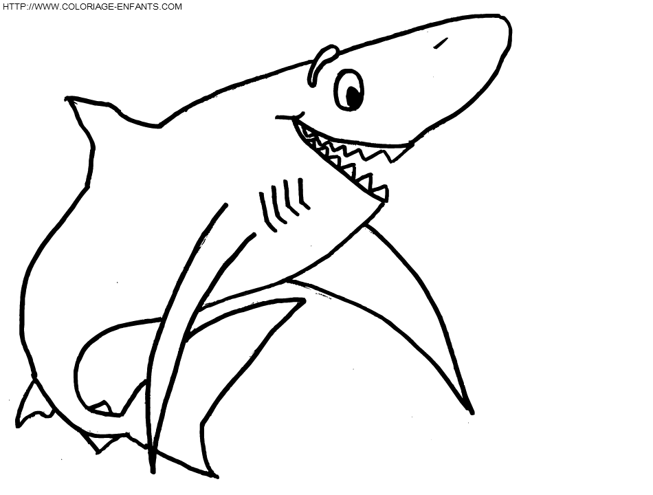 Shark coloring