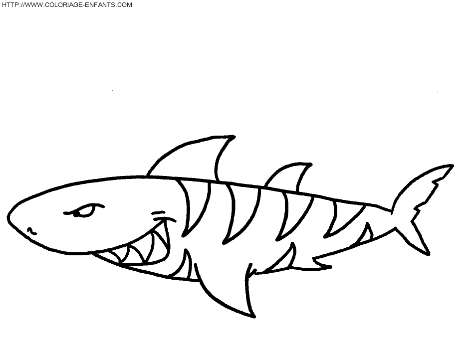 Shark coloring